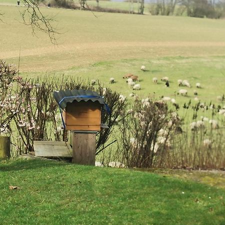 Ferienwohnung Auenland Braunfels Eksteriør bilde